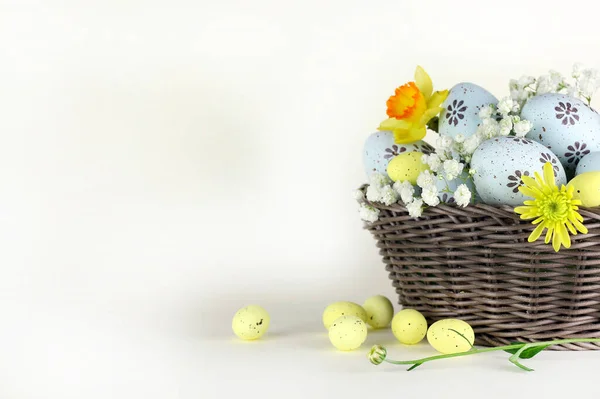 Concept of Easter holiday. Easter eggs and flowers in basket isolated on white background. Copy space