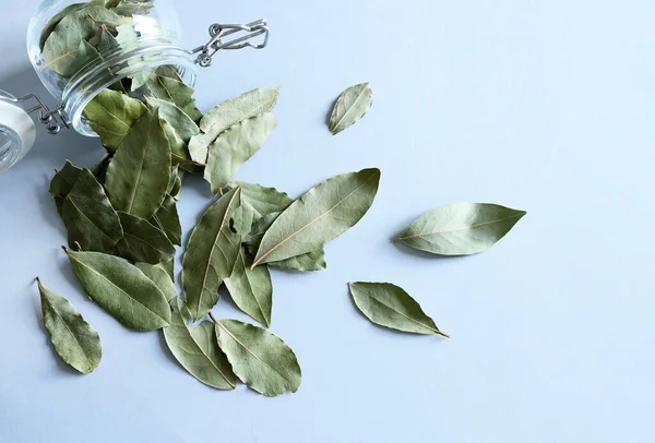 Dried bay leaves pile isolated on light blue background. Bay laurel leaves. Copy space.
