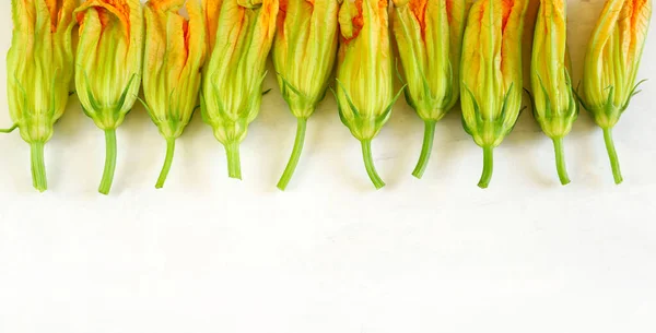 Zucchini Blommor Isolerad Vit Bakgrund Utsikt Uppifrån Ekologisk Mat Direkt — Stockfoto