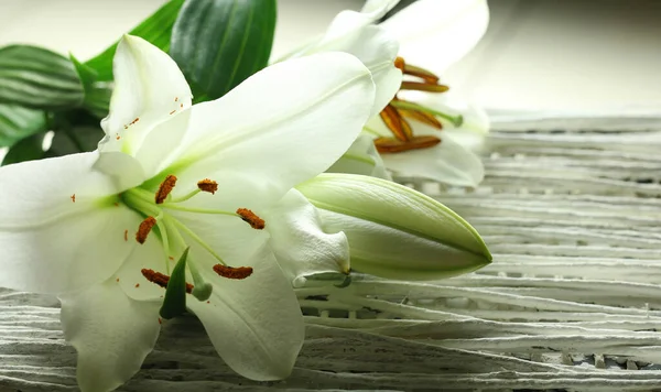 白い背景に孤立した薄ユリの花束 — ストック写真