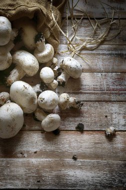 Kırsal arka planda bir grup şampiyon mantar. Sağlıklı yiyecekler. Tam üstte. Boşluğu kopyala.