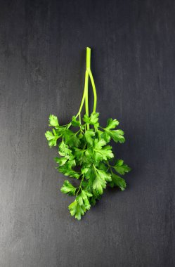 Karanlık arka planda taze maydanoz izole edilmiş. Tam üstte.