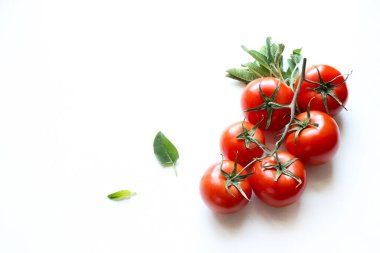 Beyaz arka planda izole edilmiş daldaki taze domatesler. Sebze yemeği konsepti. Genel bakış. Boşluğu kopyala.