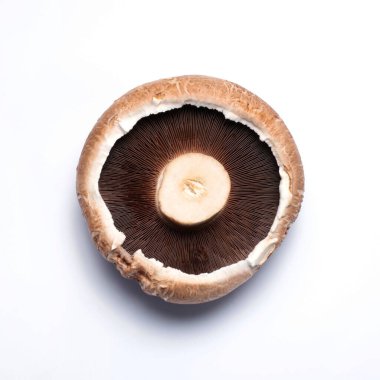 Beyaz arka planda izole edilmiş taze taze portobello mantarları. Sağlıklı ve vejetaryen yemekleri. Tam üstte.