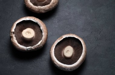 Taze çiğ portobello mantarları koyu arka planda izole edilmiş. Sağlıklı ve vejetaryen yemekleri. Tam üstte.