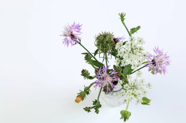 Beyaz arka planda izole edilmiş bir buket yabani çiçek. Çiçek Kompozisyonu. Yakın plan. Yaz, bahar konsepti.