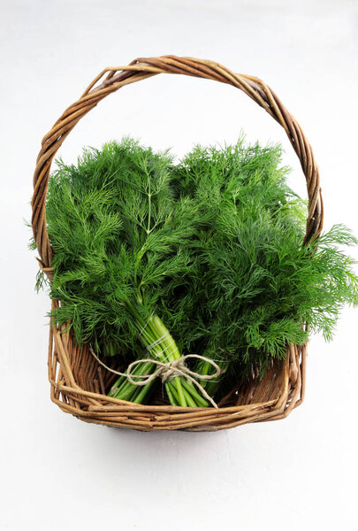 Bunches of fresh dill in a basket isolated on white background. Vegetarian food. Copy space. Overhead view.