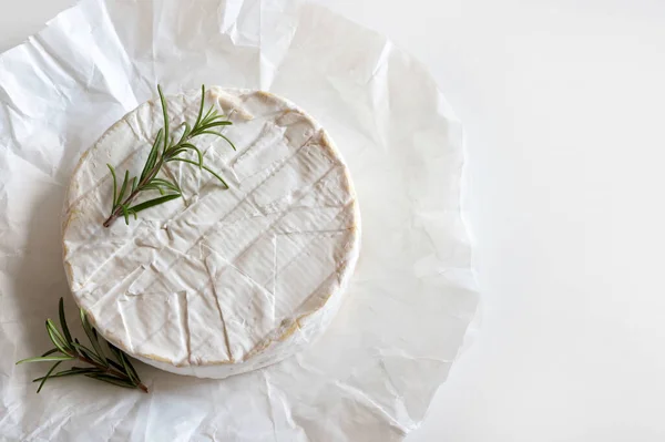 stock image French cheese. Brie cheese isolated on white background. Fresh camembert cheese. Overhead view. Copy space.