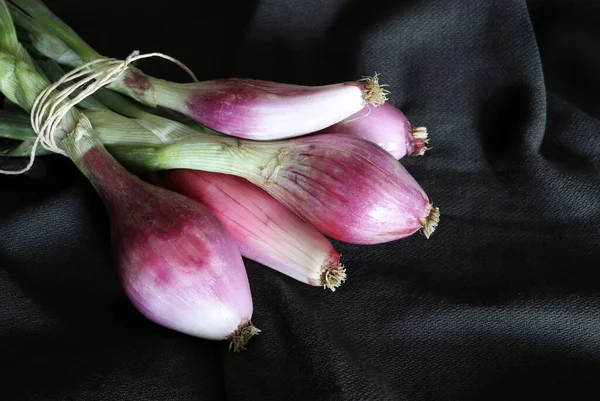 Tropea Onions Black Background Red Onions Bunch Vegetable Food Close — Stock Photo, Image