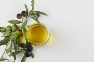 Beyaz arka planda taze zeytin ve zeytin yağı. Doğa, sağlıklı, sağlıklı ve doğal gıda kavramı. Genel bakış. Boşluğu kopyala.