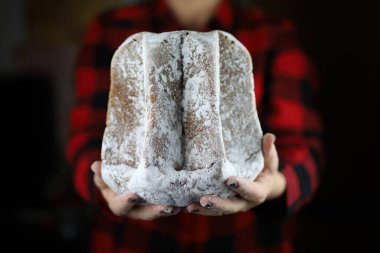 Geleneksel İtalyan Noel pastaları. Pandoro 'yu tutan kadın elleri, tipik bir İtalyan tatlısı. Siyah arka plana şeker serpiştirilmiş. Noel süsleri. Tatil sezonu.