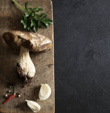 Siyah arka planda izole edilmiş organik porcini mantarı. Sonbahar baharında orman mantarı. Genel Görünüm.