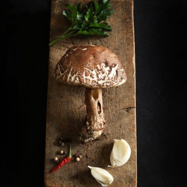 Siyah arka planda izole edilmiş organik porcini mantarı. Sonbahar baharında orman mantarı. Genel Görünüm.