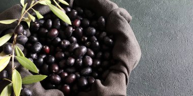 Gri arka planda siyah zeytin ve zeytin dalı yakın plan. Taze zeytin. Sağlıklı yiyecekler. Genel bakış. Boşluğu kopyala.