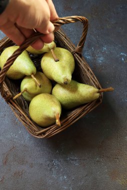 Bir grup olgun armut, koyu arka planda izole edilmiş. Vejetaryen ve sağlıklı yiyecekler. Genel bakış. Boşluğu kopyala.