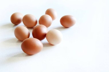 Beyaz arka planda izole edilmiş bir grup taze yumurta. Sağlıklı ve protein besin konsepti. Boşluğu kopyala.