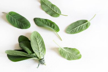 Beyaz arka planda izole edilmiş taze adaçayı yaprakları. Salvia officinalis, aromatik bitki. Tam üstte.