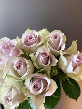 Sevgililer günü, doğum günü, anneler günü, düğün, yıldönümü için mükemmel bir buket gül. Yakın plan. Boşluğu kopyala