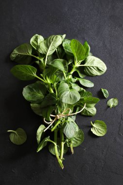 Nane yaprağı. Siyah arka planda izole edilmiş taze nane yaprakları. Aromatik bitkiler. Tam üstte.