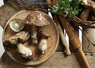 Ahşap arka planda izole edilmiş organik porcini mantarları. Sonbahar baharında orman mantarı. Genel Görünüm.