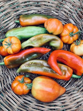 Domates ve biberli ahşap sepet. Vejetaryen ve sağlıklı yiyecekler. Tam üstte.