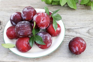 Ahşap bir arka planda izole edilmiş bir grup lezzetli erik meyvesi. Sağlıklı ve vejetaryen yemekleri. Boşluğu kopyala.