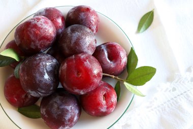 Beyaz arka planda izole edilmiş bir grup lezzetli erik meyvesi. Sağlıklı ve vejetaryen yemekleri. Boşluğu kopyala.