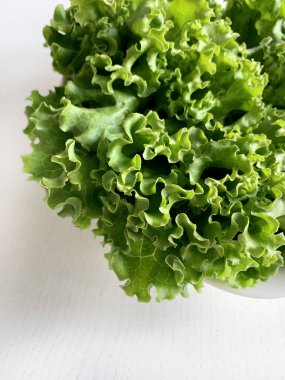 Beyaz arka planda taze yeşil kıvırcık salata. Sağlıklı ve vejetaryen yemekleri. Boşluğu kopyala.