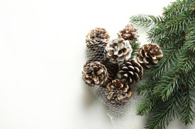 Beyaz arka planda çam kozalaklı ana dal. Yeni yıl kompozisyonu. Noel arkaplanı. Tam üstte. Boşluğu kopyala.