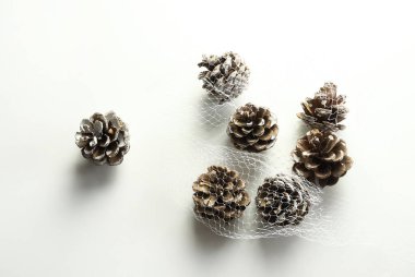 Beyaz arka planda izole edilmiş çam kozalakları. Yeni yıl kompozisyonu. Noel arkaplanı. Tam üstte. Boşluğu kopyala.