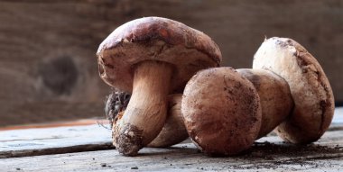 Ahşap masada izole edilmiş organik porcini mantarları. Sonbahar baharında orman mantarı. Genel Görünüm.