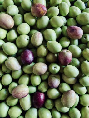 Taze zeytin arkaplanından oluşan bir grup. Akdeniz yemekleri. Tam üstte.