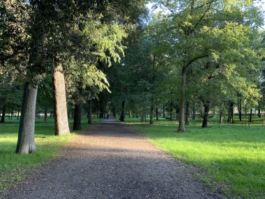 İtalya, Floransa. Cascine Park caddesi güneşli bir günde.