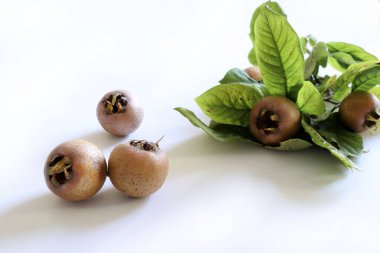 Medlar meyveli dallar ve beyaz arka planda izole edilmiş Medlar. Sağlıklı sonbahar meyvesi. Mespilus germanica.