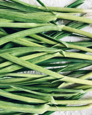 Genç yeşil sarımsak yaprakları beyaz bir masada izole edilmiş. Bahçe işleri konsepti. Tam üstte.