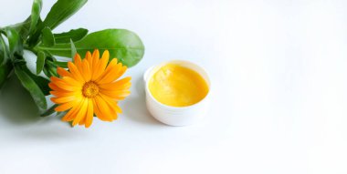 Beyaz arka planda izole edilmiş Calendula kremi ve calendula officinalis çiçekleri. Sarı kadife çiçekleri çiçek açar. Boşluğu kopyala.