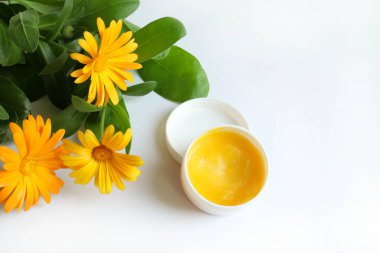 Beyaz arka planda izole edilmiş Calendula kremi ve calendula officinalis çiçekleri. Sarı kadife çiçekleri çiçek açar. Boşluğu kopyala.