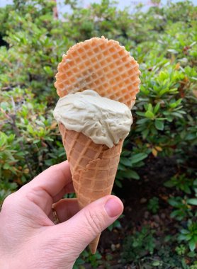 Elinde fıstıklı dondurma külahı ve çıtır waffle diski olan yeşil yapraklı bir kadın. Yakın plan..