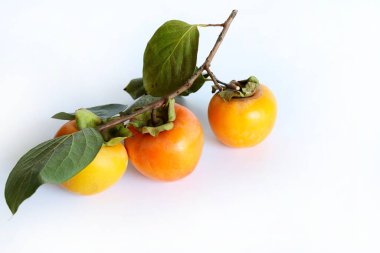 Beyaz arka planda yaprakları olan taze hurma ağaçları. Sağlıklı organik meyve. Boşluğu kopyala.