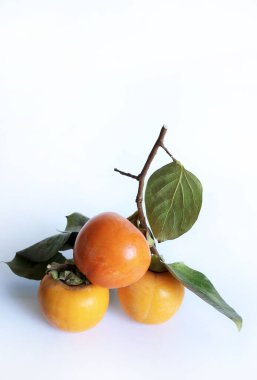 Beyaz arka planda yaprakları olan taze hurma ağaçları. Sağlıklı organik meyve. Boşluğu kopyala.