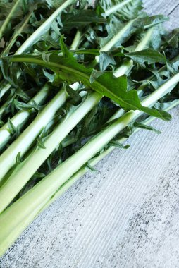 Beyaz ahşap bir arka planda izole edilmiş hindiba veya kuşkonmaz hindibası. Taze İtalyan sebzesi. Sağlıklı ve vejetaryen yemekleri. Boşluğu kopyala.