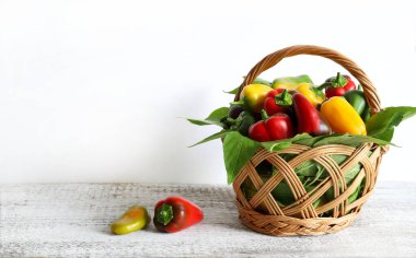 Beyaz arka planda izole edilmiş saman sepetindeki kırmızı, yeşil ve sarı mini biberlerden oluşan renkli bir grup. Mini tatlı biberleri atıştırıyorum..