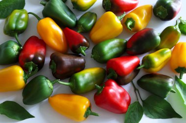 Renkli kırmızı, yeşil ve sarı küçük tatlı biberler beyaz arka planda izole edilmiş. Mini tatlı biber atıştırıyorum. Sağlıklı yaşam tarzı.