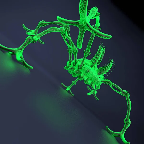 illustration of a virus and bacteria