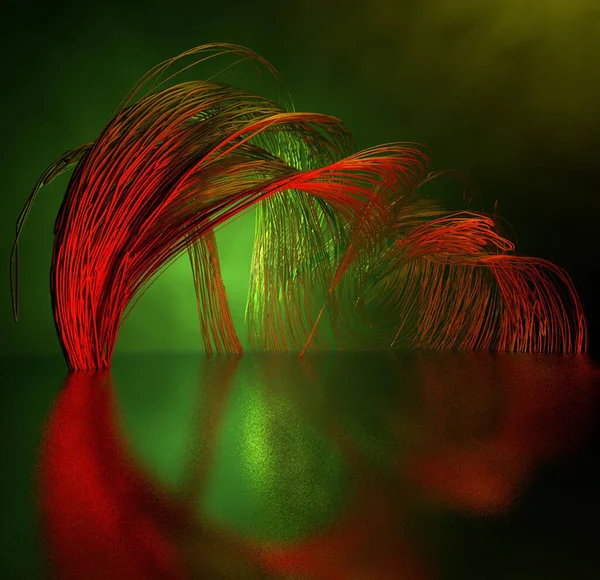 Gece gökyüzünde renkli havai fişekler