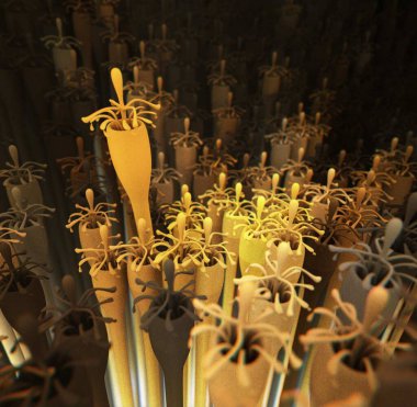 Geçmişi bulanık bir çiçeğin yakın plan çekimi.