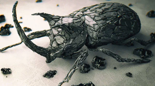 siyah beyaz fotoğraf, yakın plan.