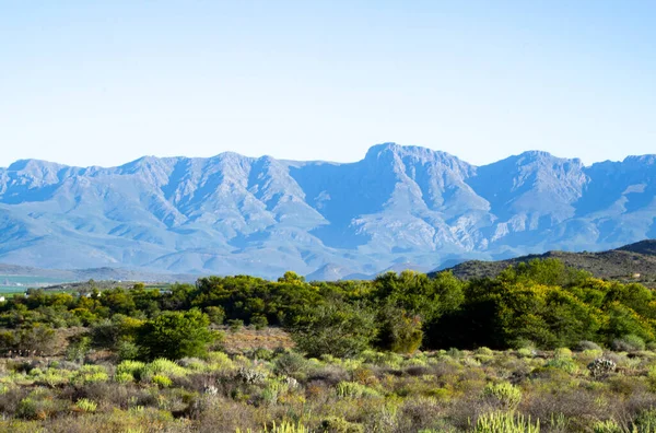 Mountain-scape of blue mountains in the background and green landscape in front at Robertson in the Western Cape of South Africa