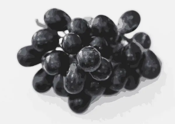 Bir grup siyah üzümün vektör görüntüsü