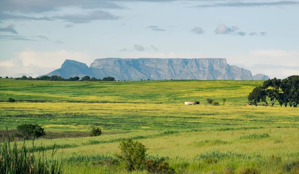 Cape Town 'un batı eteklerinden görünen Masa Dağı.